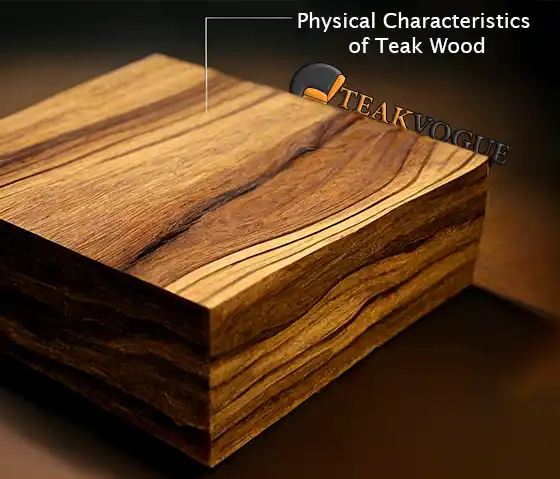 Physical Characteristics of Teak Wood
