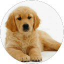 Catherine Csc Profile Picture